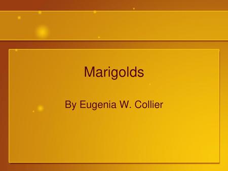 Marigolds By Eugenia W. Collier.