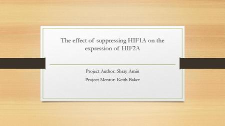 The effect of suppressing HIF1A on the expression of HIF2A