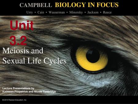 Meiosis and Sexual Life Cycles