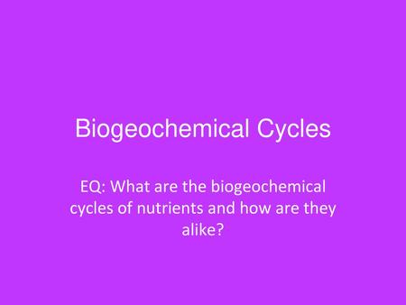 Biogeochemical Cycles