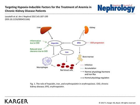 Locatelli et al. Am J Nephrol 2017;45:   (DOI: / )