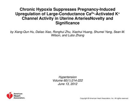 Chronic Hypoxia Suppresses Pregnancy-Induced Upregulation of Large-Conductance Ca2+-Activated K+ Channel Activity in Uterine ArteriesNovelty and Significance.