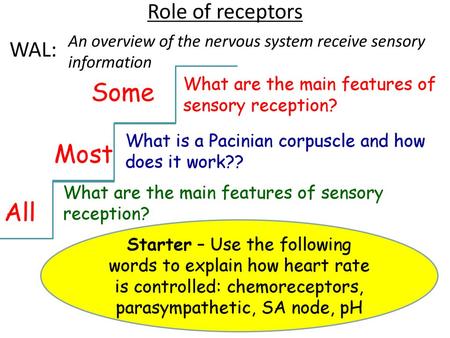 Some Most All Role of receptors WAL: