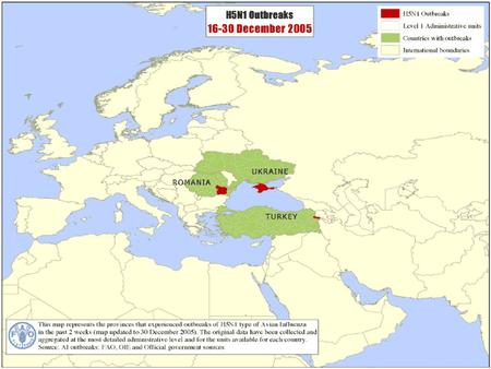 Во ВЕСТИТЕ Индија Сабота, 18 фебруари 2006 (Њу Делхи/Мумбај): Првиот случај на птичји грип беше конфирмиран во Нандурбар во областа Махараштра.