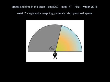 space and time in the brain – cogs260 – cogs177 – Nitz – winter, 2011