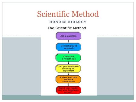 Scientific Method HONORS Biology.