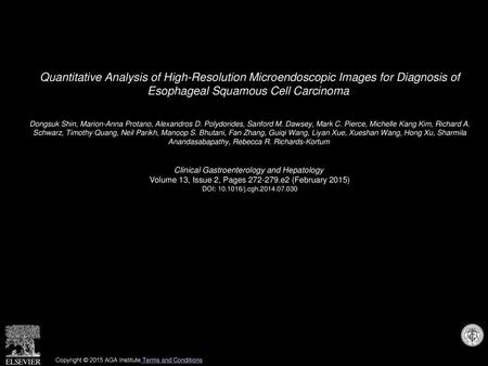 Quantitative Analysis of High-Resolution Microendoscopic Images for Diagnosis of Esophageal Squamous Cell Carcinoma  Dongsuk Shin, Marion-Anna Protano,