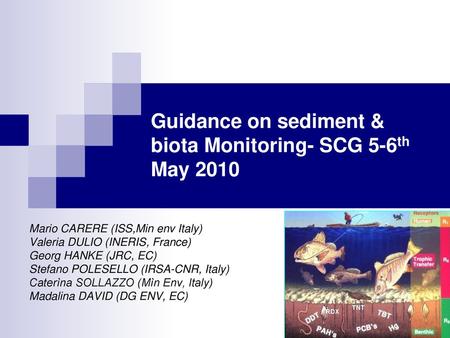 Guidance on sediment & biota Monitoring- SCG 5-6th May 2010