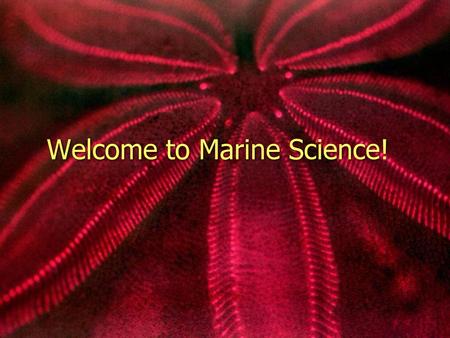 Welcome to Marine Science!