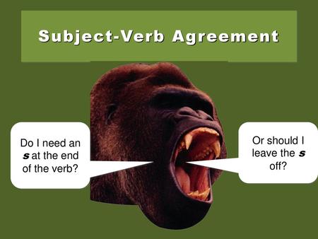 Subject-Verb Agreement