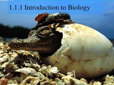 1.1.1 Introduction to Biology