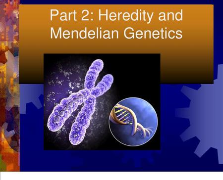 Part 2: Heredity and Mendelian Genetics