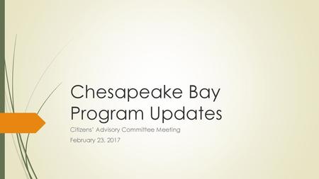 Chesapeake Bay Program Updates