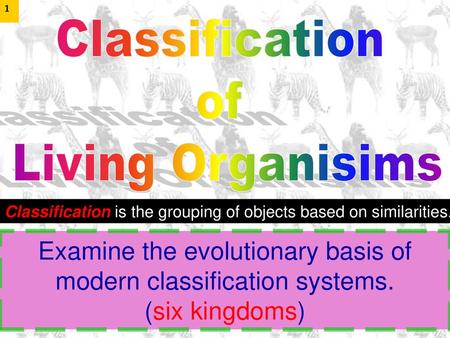 Examine the evolutionary basis of modern classification systems.