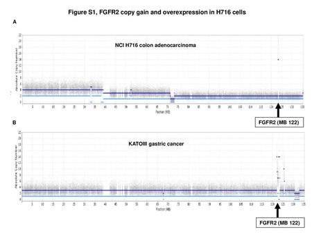 Figure S1, FGFR2 copy gain and overexpression in H716 cells A