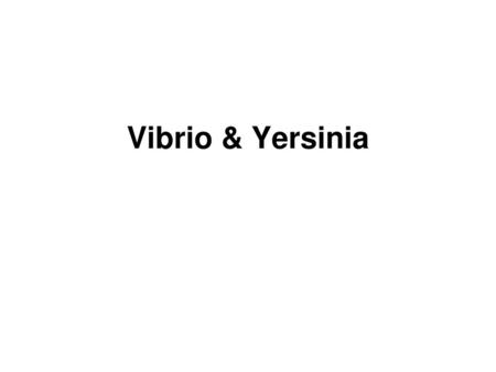 Vibrio & Yersinia.