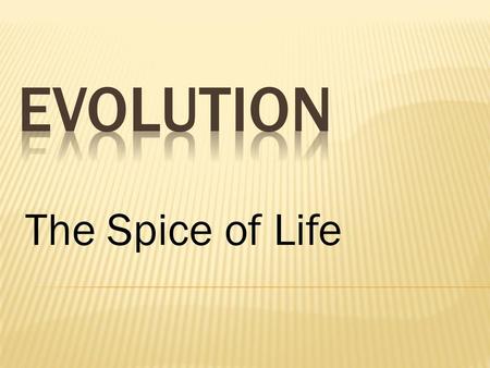 Evolution The Spice of Life.