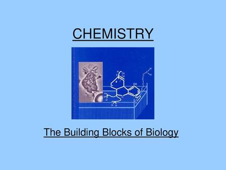 The Building Blocks of Biology