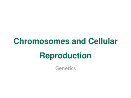 Chromosomes and Cellular Reproduction