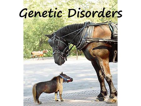 Genetic Disorders.