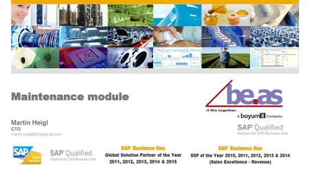 Maintenance module Martin Heigl CTO martin.heigl@beasgroup.com.