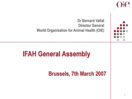 IFAH General Assembly Brussels, 7th March 2007 Dr Bernard Vallat