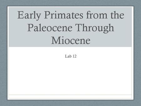 Early Primates from the Paleocene Through Miocene