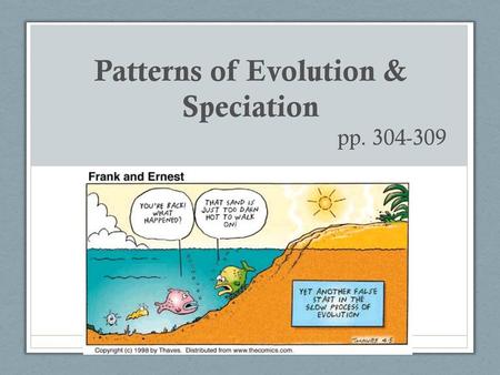 Patterns of Evolution & Speciation