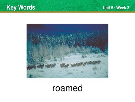 roamed Key Words Unit 5 ● Week 3 TEACHER TALK