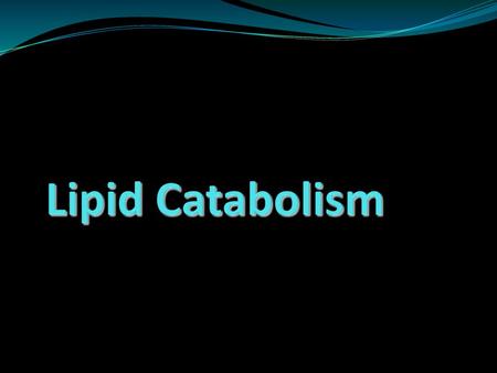 Lipid Catabolism.