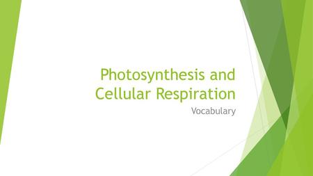 Photosynthesis and Cellular Respiration