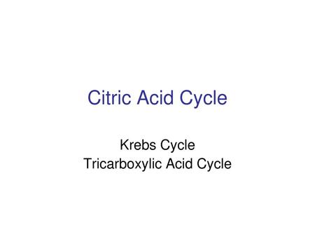 Krebs Cycle Tricarboxylic Acid Cycle