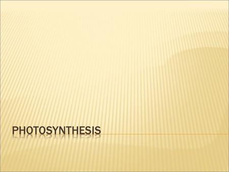 Photosynthesis.