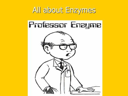 All about Enzymes.