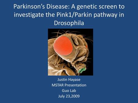 Justin Hayase MSTAR Presentation Guo Lab July 23,2009