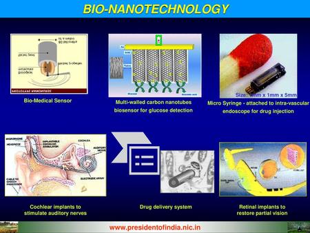 BIO-NANOTECHNOLOGY   Size: 1mm x 1mm x 5mm