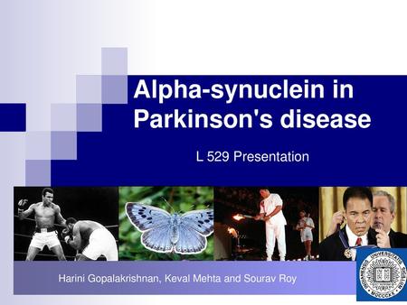 Alpha-synuclein in Parkinson's disease