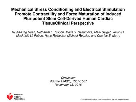 Mechanical Stress Conditioning and Electrical Stimulation Promote Contractility and Force Maturation of Induced Pluripotent Stem Cell-Derived Human Cardiac.