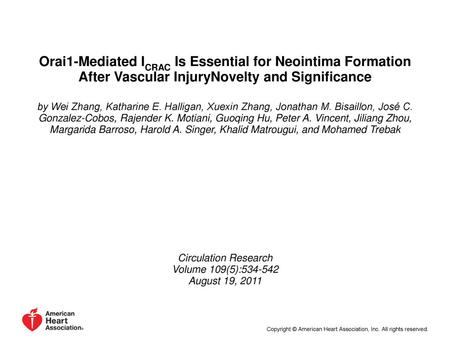 Orai1-Mediated ICRAC Is Essential for Neointima Formation After Vascular InjuryNovelty and Significance by Wei Zhang, Katharine E. Halligan, Xuexin Zhang,