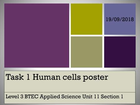 Task 1 Human cells poster