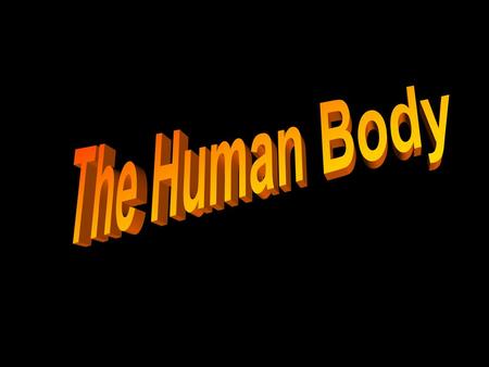 The Human Body.