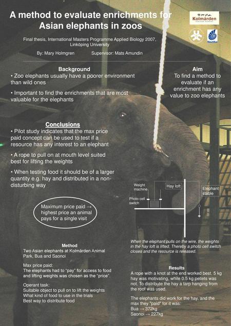 A method to evaluate enrichments for Asian elephants in zoos