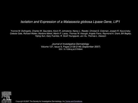 Isolation and Expression of a Malassezia globosa Lipase Gene, LIP1