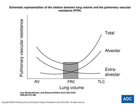 Schematic representation of the relation between lung volume and the pulmonary vascular resistance (PVR). Schematic representation of the relation between.