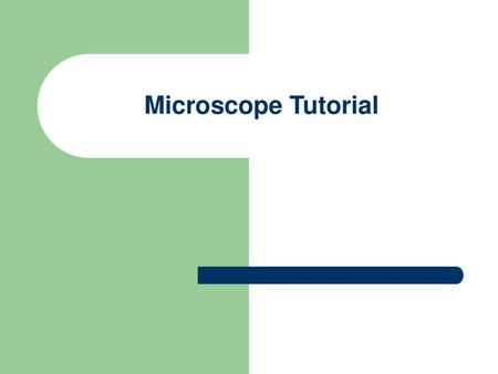 Microscope Tutorial.