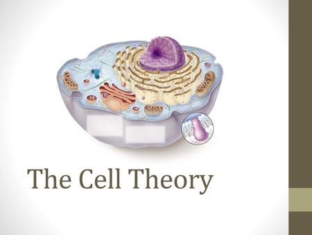 The Cell Theory.