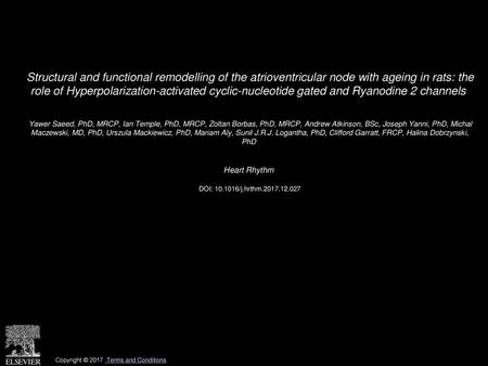 Structural and functional remodelling of the atrioventricular node with ageing in rats: the role of Hyperpolarization-activated cyclic-nucleotide gated.