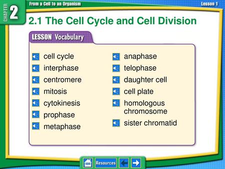 2.1 The Cell Cycle and Cell Division