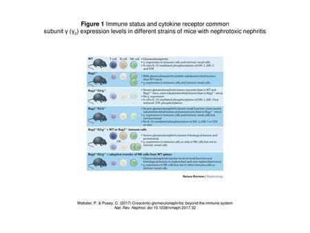 Figure 1 Immune status and cytokine receptor common