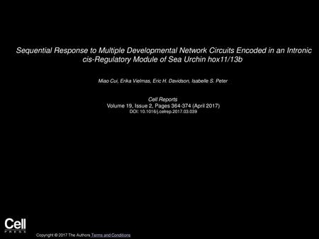 Sequential Response to Multiple Developmental Network Circuits Encoded in an Intronic cis-Regulatory Module of Sea Urchin hox11/13b  Miao Cui, Erika Vielmas,